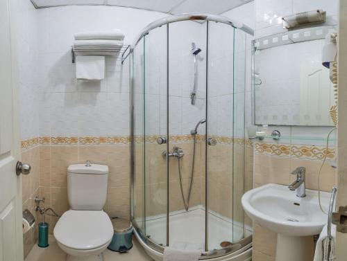 a bathroom with a shower and a toilet and a sink at May Hotel Istanbul in Istanbul