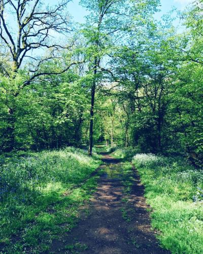 a dirt road in a field with trees and flowers at Gîte Le Sambre in Thuin