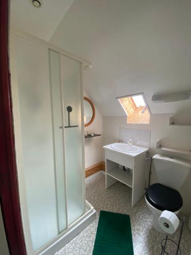 W łazience znajduje się prysznic, toaleta i umywalka. w obiekcie Maison - La campagne près de la ville w mieście Monnaie