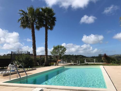 a swimming pool with palm trees in the background at Casa o Futuro in Alcobaça