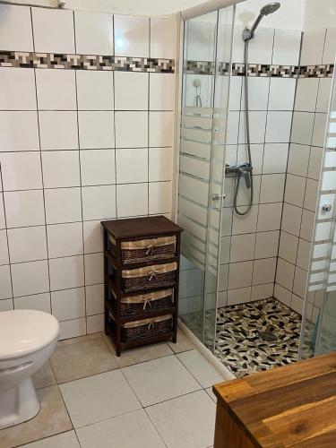 a bathroom with a shower and a toilet and a sink at Maison spiritaine in Saint Esprit