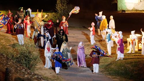 a group of people in costumes walking down a street at Contact Hôtel du Commerce et son restaurant Côte à Côte in Autun