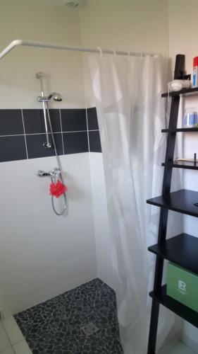 a shower with a shower curtain in a bathroom at maison de vacances Lège-cap-ferret in Lège-Cap-Ferret
