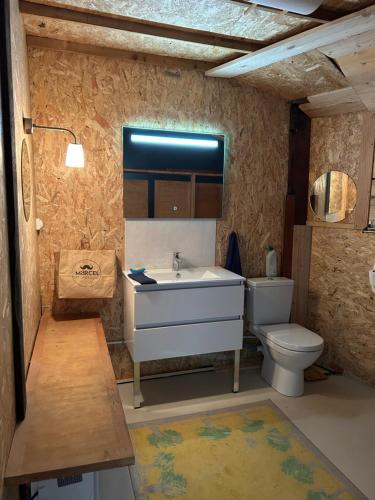 une salle de bain avec un lavabo et des toilettes dans l'établissement Le grenier de la place d'Isly, à Verdun-sur-Meuse