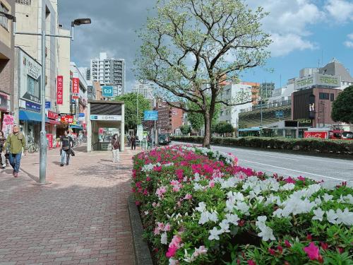 Ikebukuro area, three layer house, double subway,5 min walk to stn, 双地铁车站步行5分 直达新宿 涩谷 银座 池袋 皇居 可免费停车 最大10人