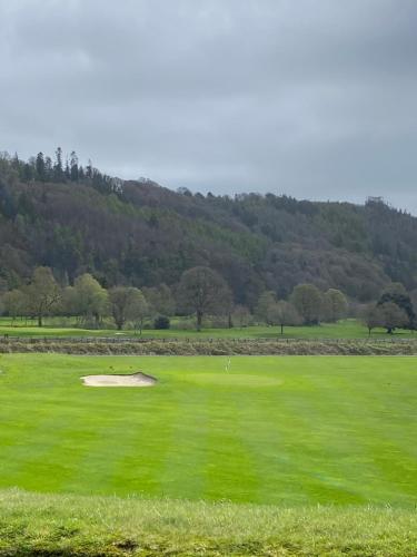 ein Golfplatz mit einem Loch mitten im Grün in der Unterkunft Knockview in Aughrim