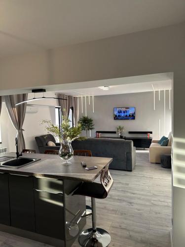a kitchen and living room with a table and a couch at CassaTa-one-Vaslui in Vaslui