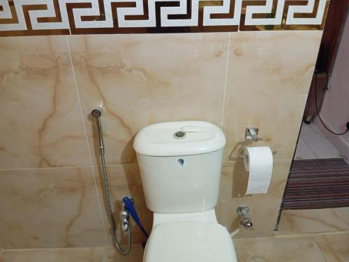a bathroom with a toilet and a shower at Balqees Cottage in Lahore
