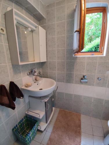 a bathroom with a sink and a mirror at Garden House in Sarajevo