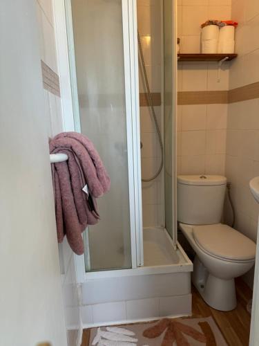 une salle de bain avec douche et toilettes dans l'établissement Charmant Studio 5min de Paris, à Levallois-Perret