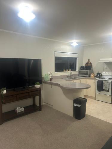 eine Küche mit einem großen Waschbecken und einem TV in der Unterkunft Raceway Getaway in New Plymouth