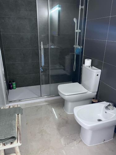 a bathroom with a shower and a toilet and a sink at Apartamento Saul de Tarso in Beniarbeig