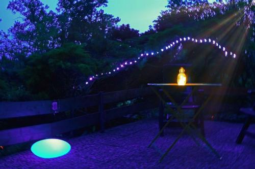 a table with a candle and lights at night at Elbwald-Studio in Hitzacker