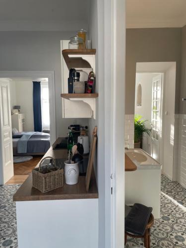 a kitchen with a sink and a counter top at Kerschbaumer.Apartments in Waidhofen an der Ybbs