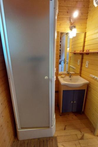La salle de bains est pourvue d'un lavabo et d'une porte de douche. dans l'établissement Maison en bois 4 personnes sur lac, Cantal, à Lacapelle-Viescamp