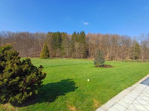 Zahrada ubytování B&B Madoli