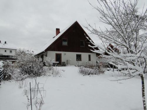 ein schneebedecktes Haus mit einem Baum im Vordergrund in der Unterkunft Ferienwohnung Am Schlosspark in Schlitz