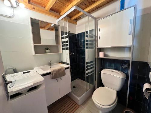 ein Bad mit einem WC, einem Waschbecken und einer Dusche in der Unterkunft Studette et studio en montagne proche stations de ski et lac in Prunières