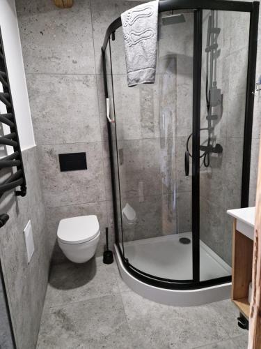 Koupelna v ubytování Aparthotel Krzywa