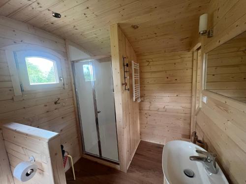 a bathroom with a sink and a toilet in a room at La Roulotte deluxe de Malpas in Quingey
