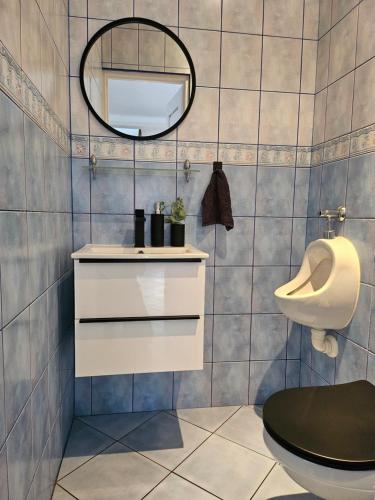 uma casa de banho com um WC e um espelho. em Apartament Świetlińska 17 em Ostróda