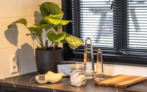 a kitchen counter top with a plant and a jar of food at Houseboat-Amsterdam in Amsterdam