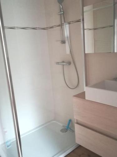 une salle de bain avec une douche avec une porte vitrée dans l'établissement Maison dans la baie du Mont St Michel, à Genêts