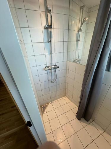a bathroom with a shower with a shower curtain at Central apartment Vesterbro in Copenhagen