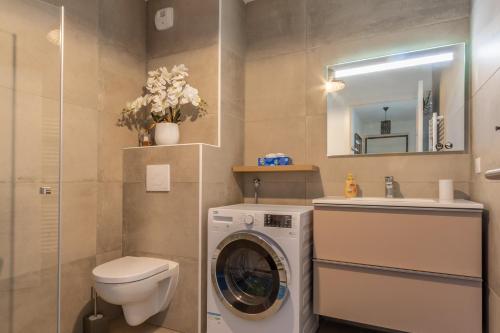 une salle de bains avec lave-linge et lavabo dans l'établissement Les Terrasses de l'Isolella - Vue mer et montagne, à Pietrosella