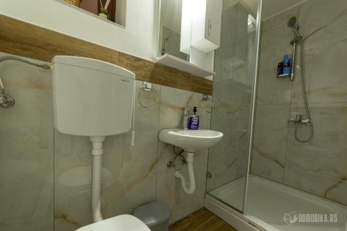 uma casa de banho com um WC, um lavatório e um chuveiro em BB Sima 1 em Bajina Bašta