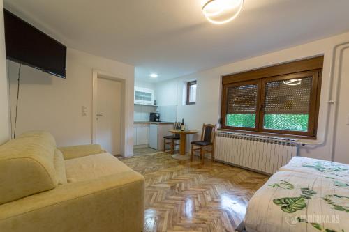 a living room with a couch and a kitchen at BB Sima 1 in Bajina Bašta