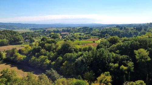 an overhead view of a forest of trees on a hill at La Piccola Rocca in Cetona
