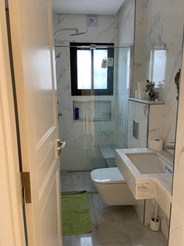 a bathroom with a toilet and a sink at Marsa-Sidi Bousaid Cosy Authentic Apartment in La Marsa