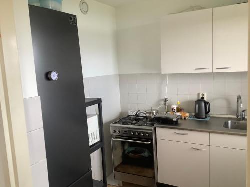 a small kitchen with a stove and a sink at Geniet van de rust en uitzicht in The Hague