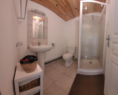 uma casa de banho com um WC, um lavatório e um chuveiro em Du Gîte à la Terre em Saint-Gaudens