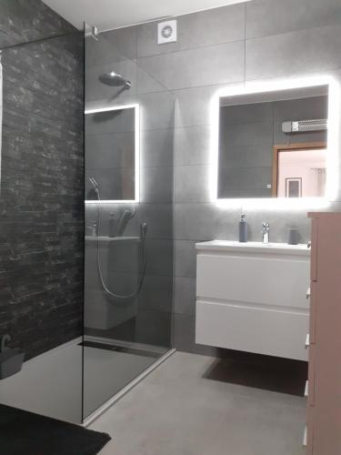 ein Bad mit einer Dusche, einem Waschbecken und einem Spiegel in der Unterkunft Apartman Nada in Ližnjan