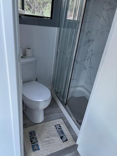 a bathroom with a toilet and a shower at Daphne Tiny House in Argalasti