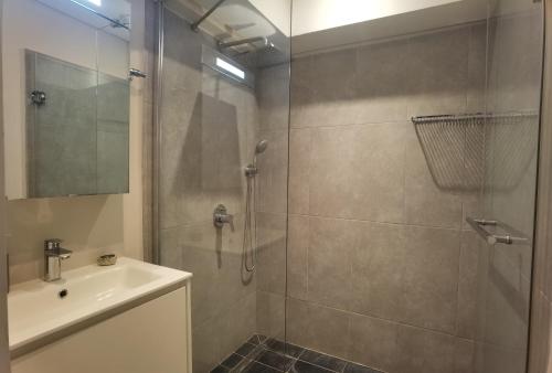 prysznic ze szklanymi drzwiami obok umywalki w obiekcie Appartement Terrasse du Barachois w mieście Tamarin