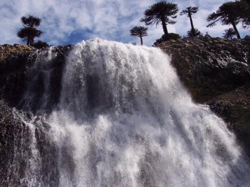 a waterfall on the side of a mountain with palm trees at Hualcupen Complejo in Copahue