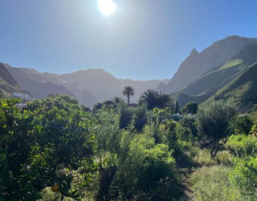 uitzicht op een vallei met palmbomen en bergen bij Finca Exclusiv La Mareta in Agaete