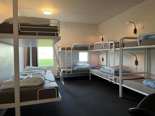 Zimmer mit mehreren Etagenbetten in der Unterkunft Hirtshals Idrætscenter - Vandrehjem - Hostel in Hirtshals