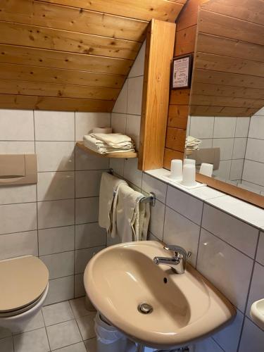 a bathroom with a sink and a toilet at Gästehaus Möschel in Weiler-Simmerberg