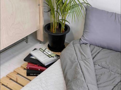 a bedroom with a bed and a potted plant and books at The Ball House in Daegu