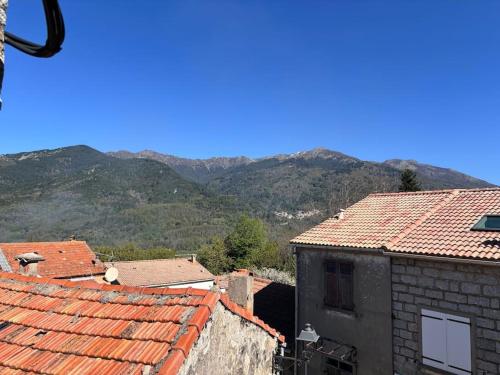 una vista de los tejados de los edificios con montañas en el fondo en chez lulu Appartement cosy. en Cozzano