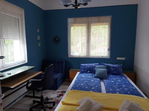 a blue bedroom with a bed and a desk at Guest House Pavlovic in Soko Banja