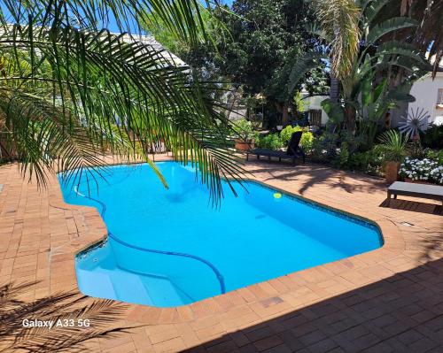 ein blauer Pool mit einer Palme daneben in der Unterkunft The Golden Grape B&B in Lutzville