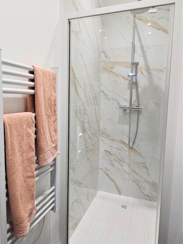 La salle de bains est pourvue d'une douche en verre. dans l'établissement Appartement Le Bd Haussmann, chic & raffiné !, à Cholet