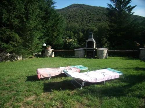 two beds sitting in the grass in a field at Il Casale dell'Abate B&B - GUARDEA UMBRIA in Cocciano