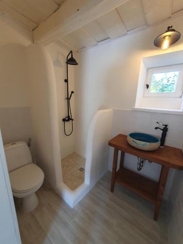 a bathroom with a toilet and a table and a window at GOfoREST - 150y Old Vintage Cottage Balaton - max 6 person in Várvölgy