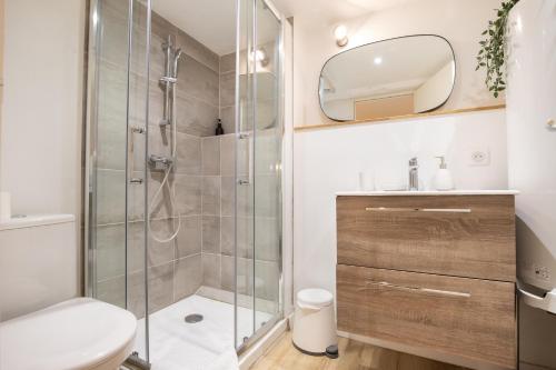 une salle de bain avec une douche, des toilettes et un lavabo dans l'établissement La Venise Provençale - Hypercentre - Wifi, à LʼIsle-sur-la-Sorgue